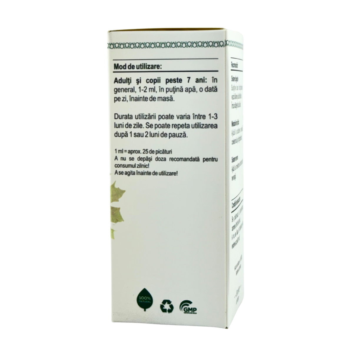 Extract din muguri de Artar 50 ml