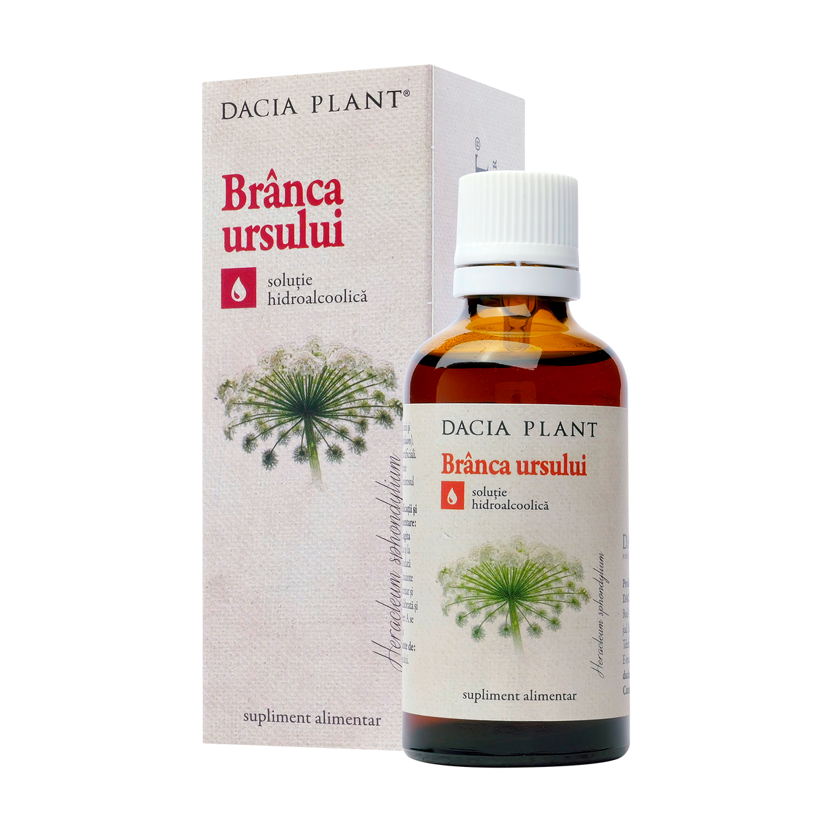 Tinctura branca ursului 50 ml