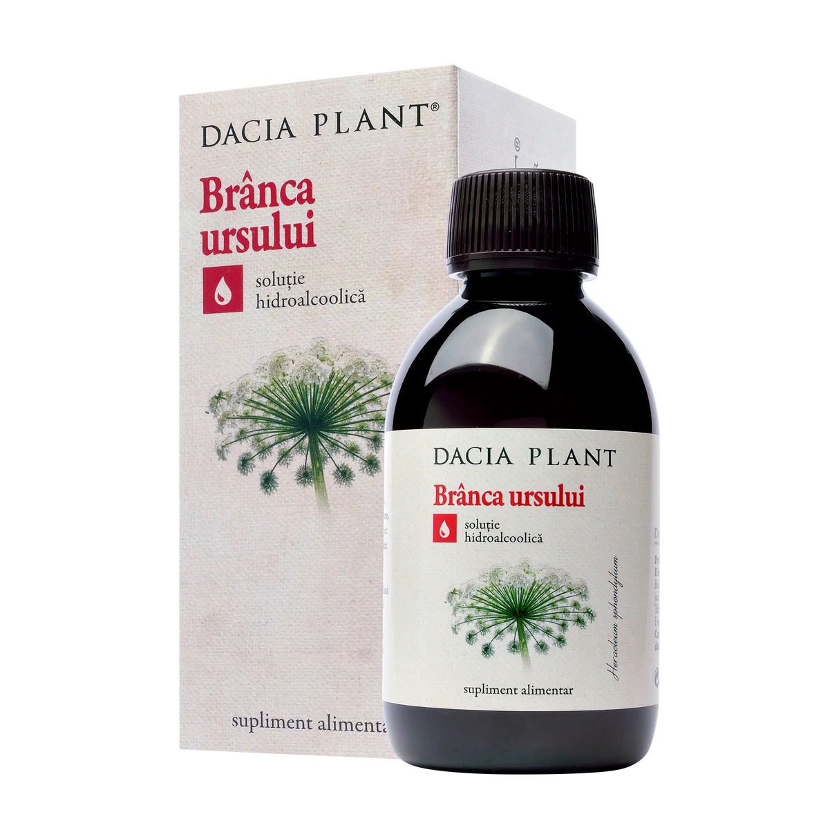 Tinctura branca ursului 200 ml Dacia Plant