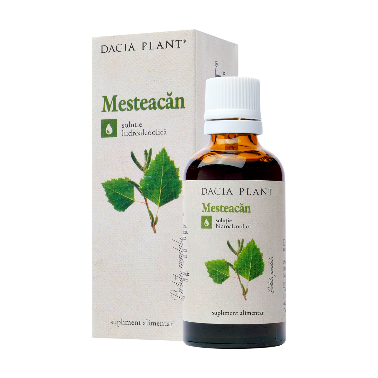 Tinctura mesteacan 50 ml