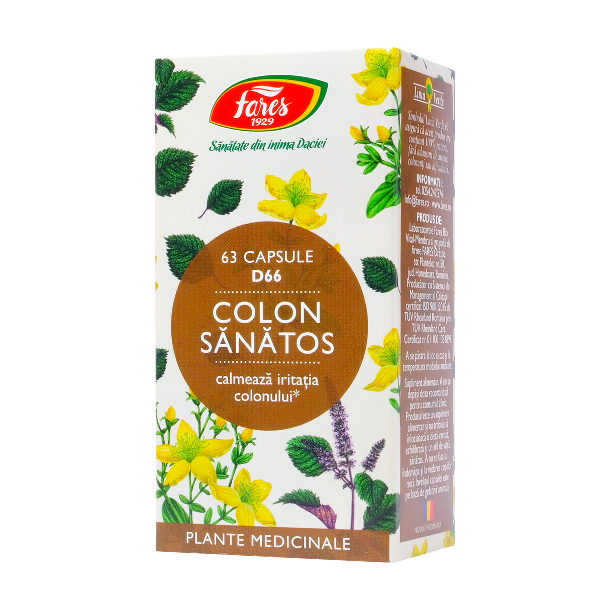 Colon sanatos 63 capsule