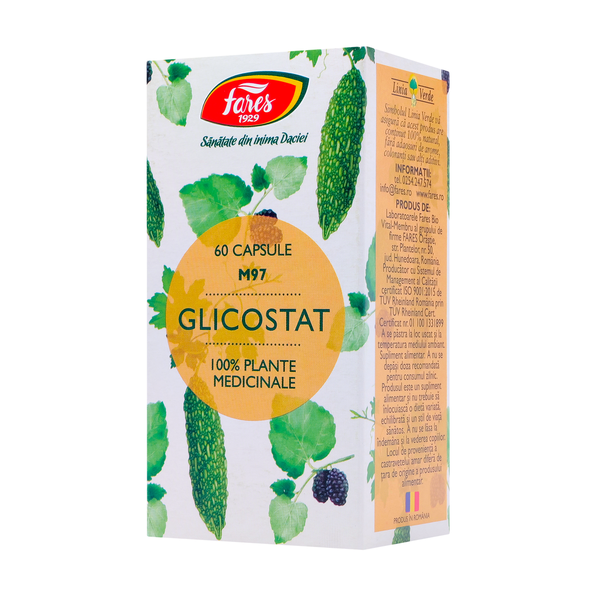 Glicostat 60 capsule