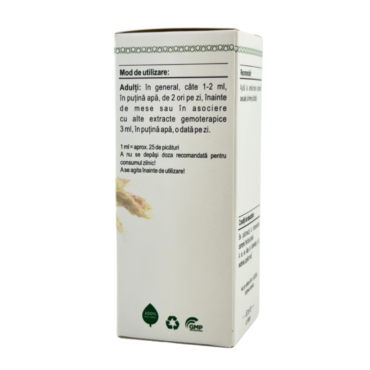Extract din amenti de Stejar 50 ml