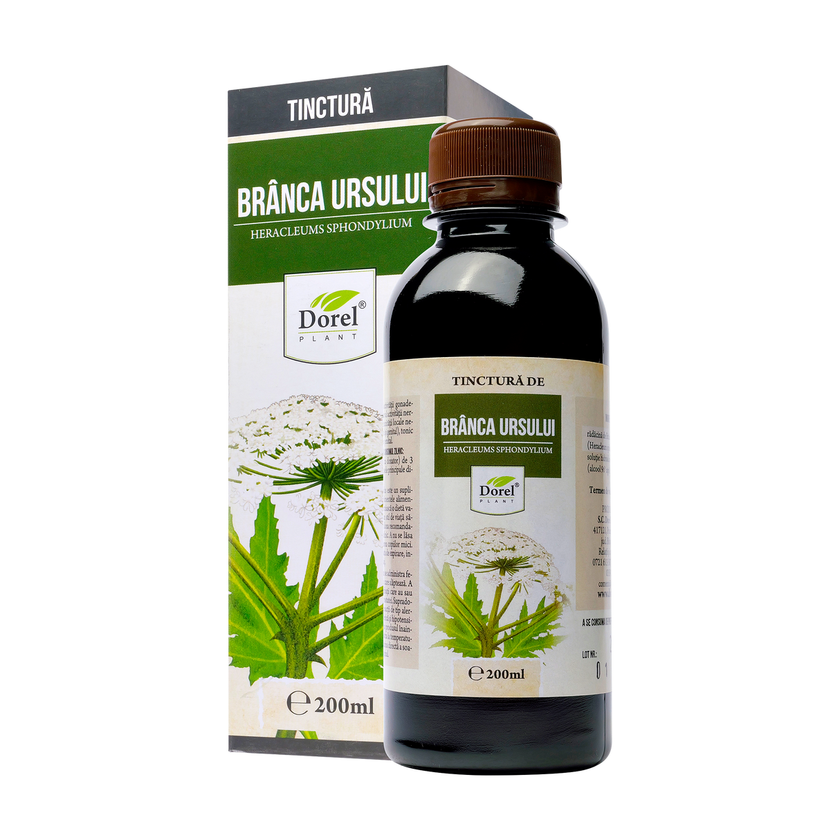 Tinctura branca ursului 200 ml Dorel Plant