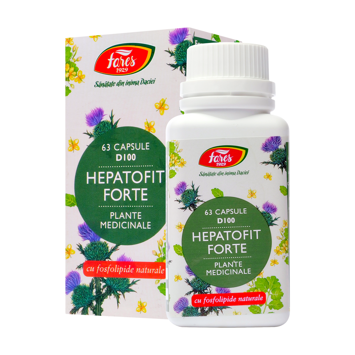 Hepatofit forte 63 capsule