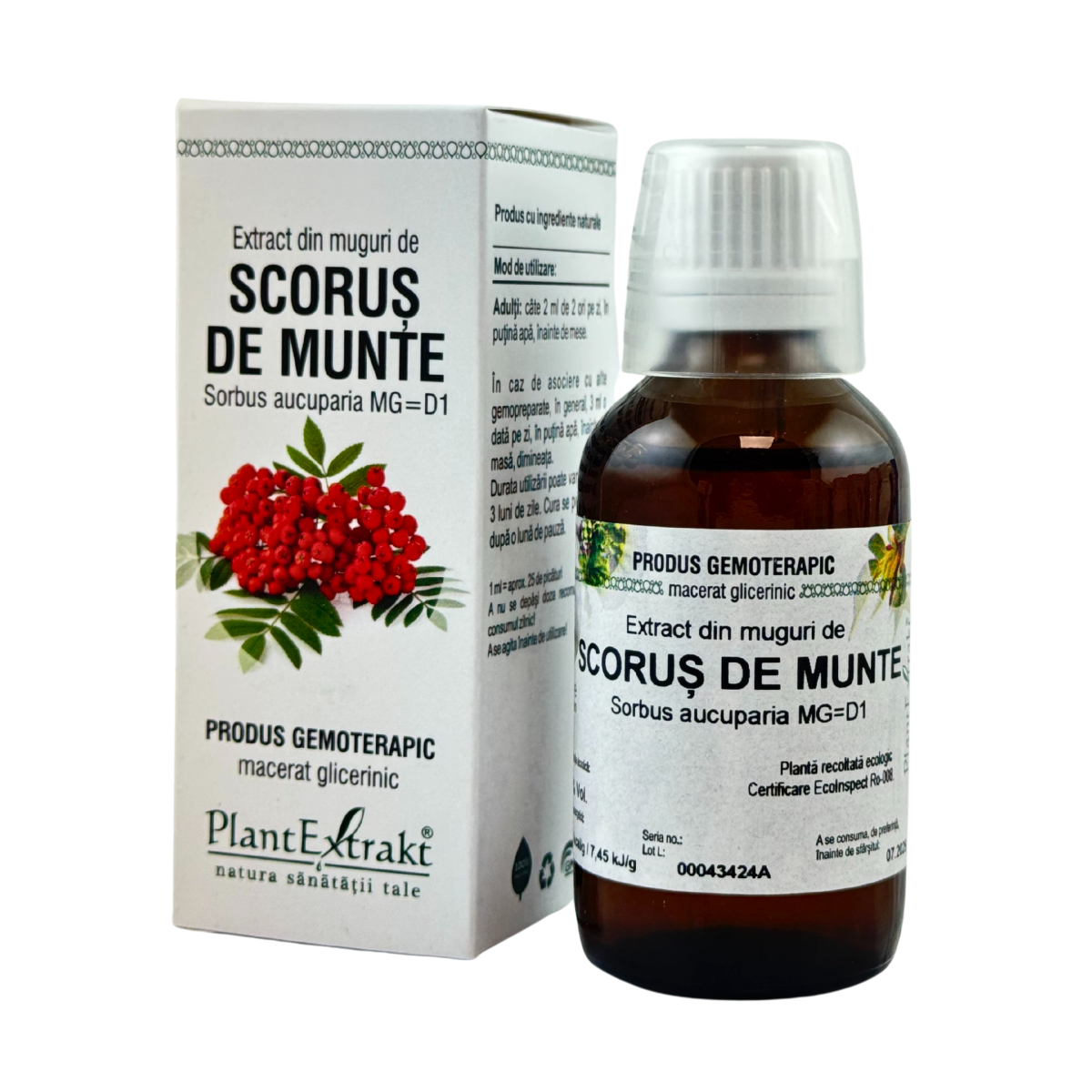 Extract din muguri de Scorus de munte 50 ml