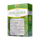 Ceai patlagina frunze 50 g