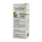 Tinctura de Cimbru de cultura 50 ml