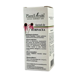 Tinctura de Echinacea 50 ml
