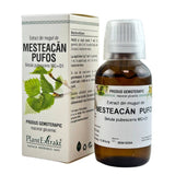 Extract din muguri de Mesteacan pufos 50 ml