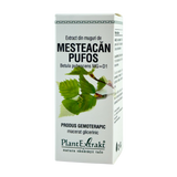 Extract din muguri de Mesteacan pufos 50 ml