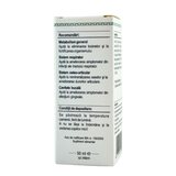 Extract din muguri de Mesteacan pufos 50 ml