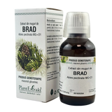 Extract din muguri de Brad 50 ml