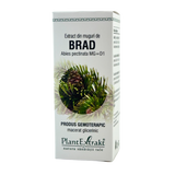 Extract din muguri de Brad 50 ml