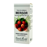 Extract din mladite de Merisor 50 ml