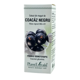 Extract din muguri de Coacaz negru 50 ml