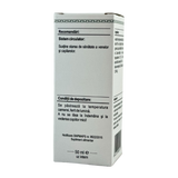 Extract din muguri de Castan salbatic 50 ml