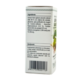 Extract din muguri de Castan salbatic 50 ml