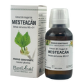 Extract din muguri de Mesteacan 50 ml