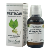 Extract din muguri de Mesteacan 50 ml