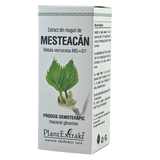Extract din muguri de Mesteacan 50 ml