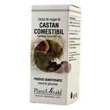Extract din muguri de Castan comestibil 50 ml