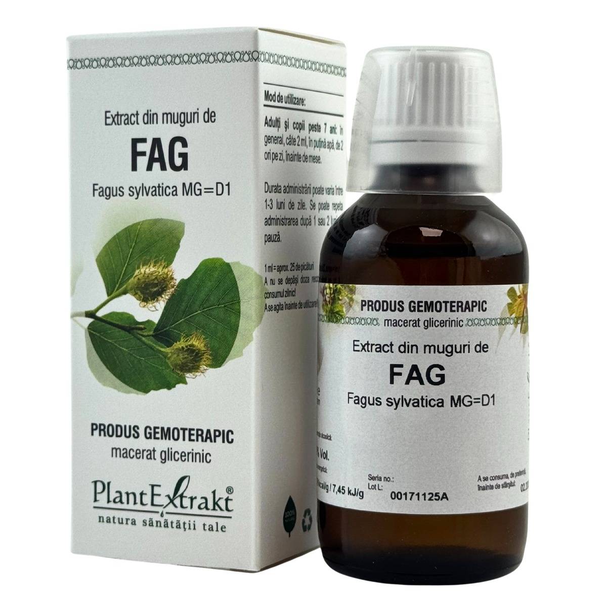 Extract din muguri de Fag 50 ml