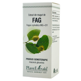 Extract din muguri de Fag 50 ml