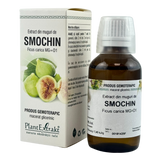 Extract din muguri de Smochin 50 ml