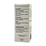 Extract din muguri de Stejar 50 ml
