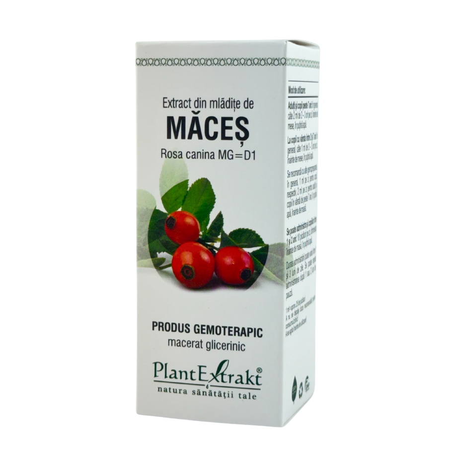 Extract din mladite de Maces 50 ml