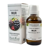 Extract din mladite de Mur 50 ml
