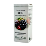 Extract din mladite de Mur 50 ml