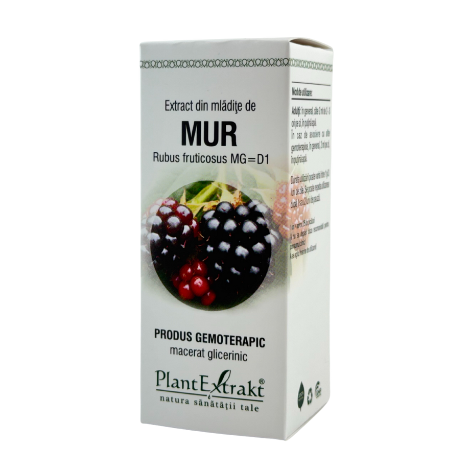 Extract din mladite de Mur 50 ml