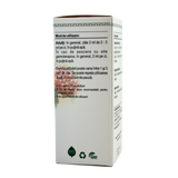 Extract din mladite de Mur 50 ml