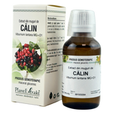 Extract din muguri de Calin 50 ml