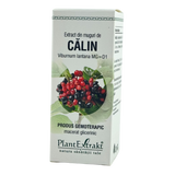 Extract din muguri de Calin 50 ml