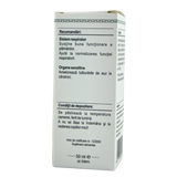 Extract din muguri de Calin 50 ml