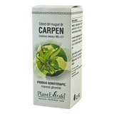 Extract din muguri de Carpen 50 ml