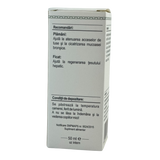 Extract din muguri de Carpen 50 ml