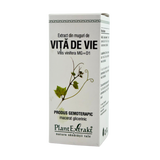 Extract din muguri de Vita de vie 50 ml