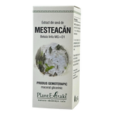 Extract din seva de Mesteacan 50 ml