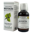 Extract din seminte de Mesteacan 50 ml