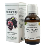 Extract din muguri de Dud alb 50 ml