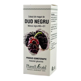Extract din muguri de Dud alb 50 ml