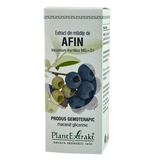 Extract din mladite de Afin 50 ml