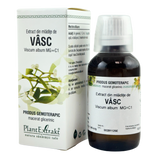 Extract din mladite de Vasc 50 ml