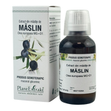 Extract din mladite de Maslin 50 ml