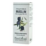 Extract din mladite de Maslin 50 ml