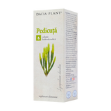 Tinctura pedicuta 50 ml